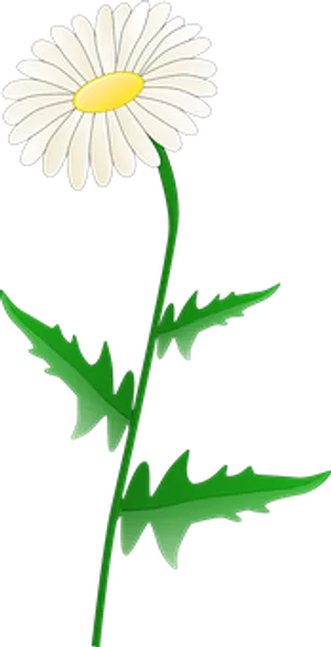White Daisy Graphic PNG image