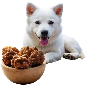 White Dog And Cat PNG 06262024 PNG