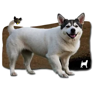 White Dog And Cat Png Nwq PNG image