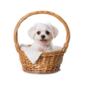 White Dog In Basket PNG Cvr94 PNG