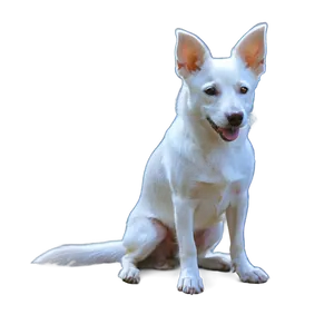 White Dog In Sunset PNG Rej24 PNG