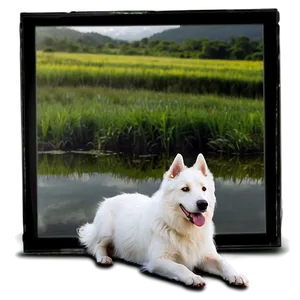 White Dog On Adventure PNG 52 PNG