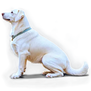 White Dog On Lap Png 06262024 PNG image