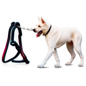 White Dog On Leash PNG 62 PNG