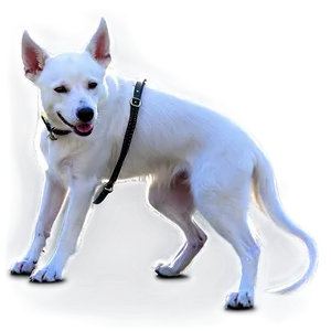White Dog On Leash PNG Hyg