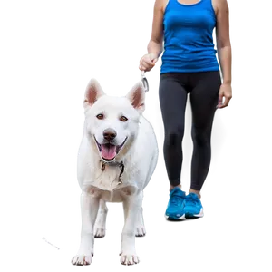 White Dog On Leash PNG Mdd16 PNG