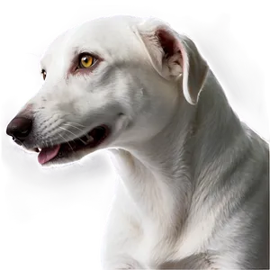 White Dog Transparent PNG Ltp42 PNG