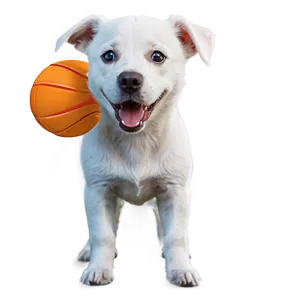 White Dog With Ball PNG 21 PNG