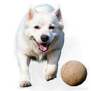 White Dog With Ball PNG 81
