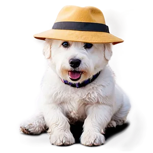 White Dog With Hat PNG 06262024