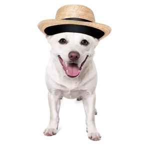 White Dog With Hat PNG Mhl PNG