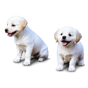 White Dog With Puppies PNG 06262024 PNG