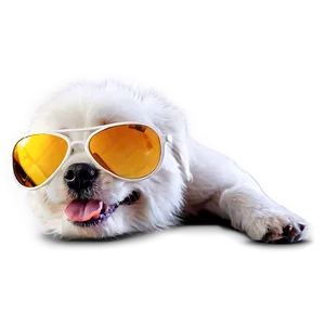 White Dog With Sunglasses PNG 96 PNG
