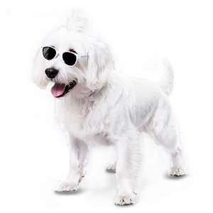 White Dog With Sunglasses Png Con PNG image