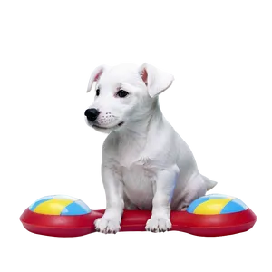 White Dog With Toy Png Jpi91 PNG image