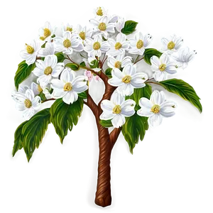 White Dogwood Tree Png 06282024 PNG image