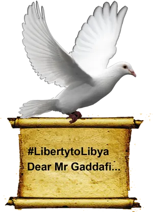 White Dove Libertyto Libya