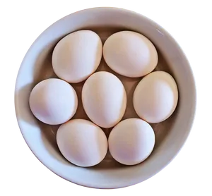 White Eggsin Bowl PNG image