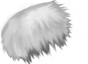 White Feather Drawing Artwork PNG image