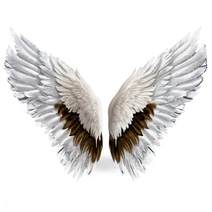 White Feather Wings PNG 06262024 PNG