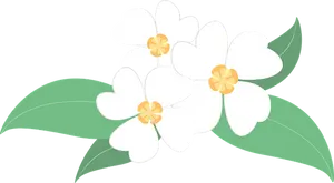 White Floral Vector Illustration