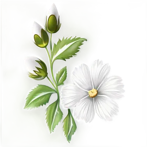 White Flower Art PNG 05242024 PNG