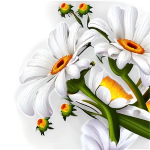 White Flower Art PNG 05242024
