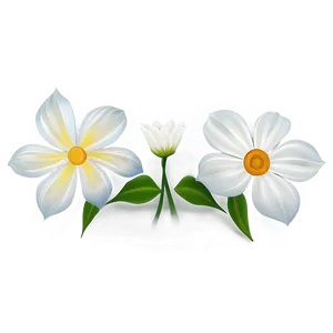 White Flower Art PNG 88