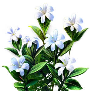 White Flower Bush Png Uho53 PNG image