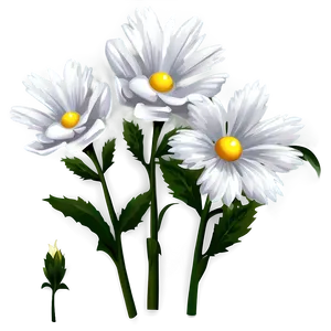 White Flower Clipart PNG Pgl63