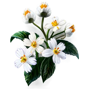 White Flower Cluster PNG Fhd