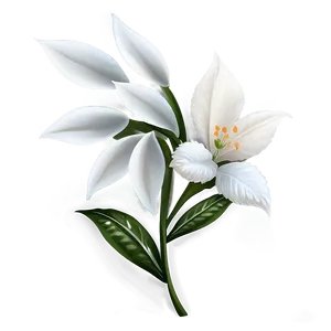 White Flower Decoration PNG 30 PNG