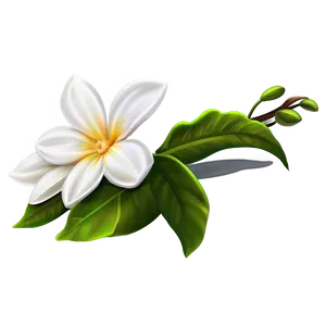 White Flower Decoration PNG 85 PNG