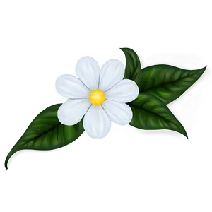 White Flower Design PNG Cjd4 PNG