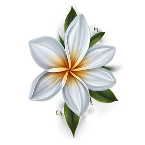 White Flower Design PNG Wma98 PNG