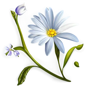 White Flower Detail PNG 05242024 PNG