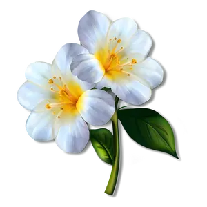 White Flower Drawing PNG 15 PNG