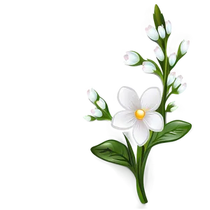 White Flower Drawing PNG Tqo70 PNG