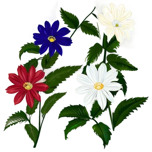 White Flower Graphic PNG Swt PNG