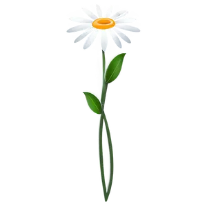 White Flower Illustration PNG 05242024
