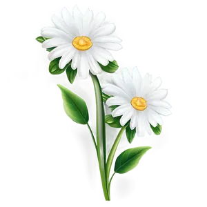 White Flower Illustration PNG 05242024