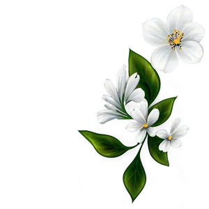 White Flower Illustration PNG 49