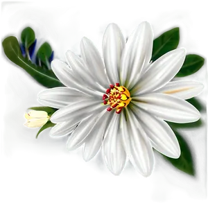 White Flower Illustration PNG 65