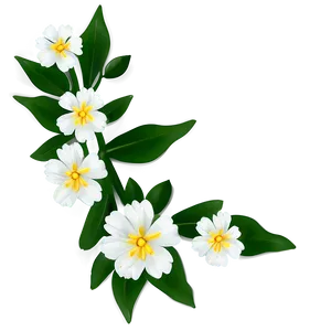 White Flower Outline PNG 64