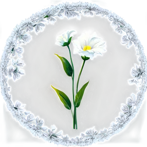 White Flower Outline PNG Njj