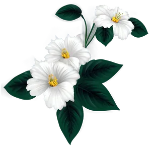 White Flower Pattern PNG 05242024 PNG