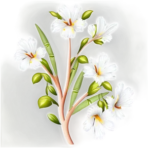 White Flower Pattern PNG Nrj7 PNG