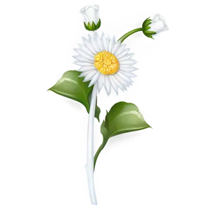 White Flower PNG 05242024
