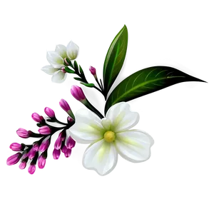 White Flower Silhouette PNG 05242024