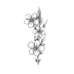 White Flower Sketch PNG Iyu